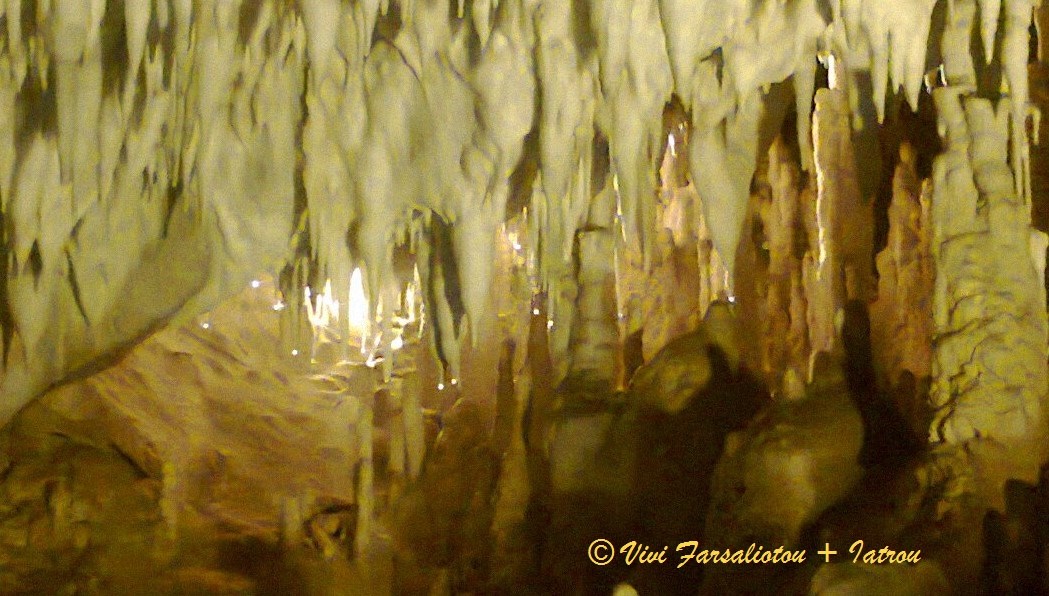 13576622_1421490884544573_4596544670778068584_o