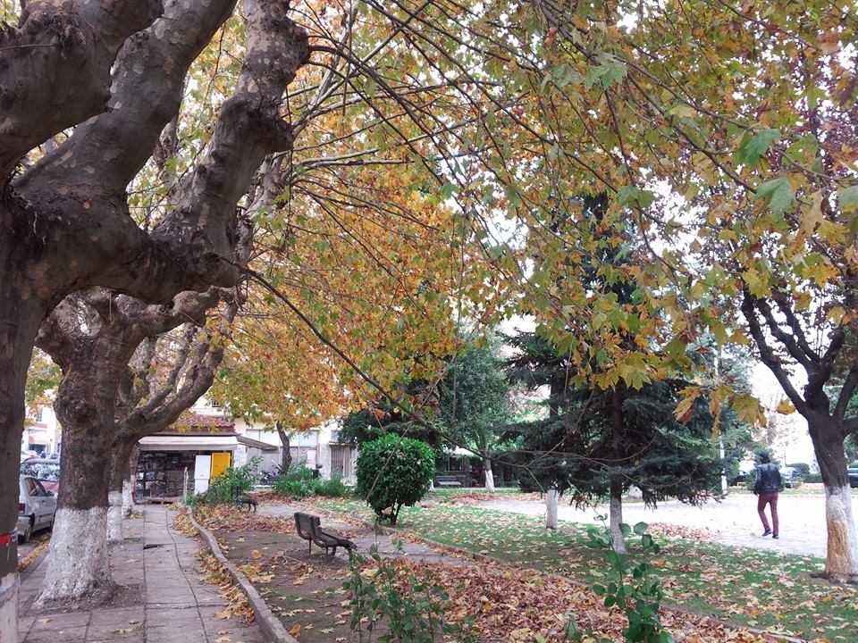 14909899_1605947053034288_8409808751470321415_n