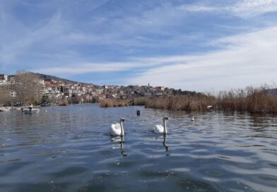 Τελικά γιατί πληρώνει η Μακεδνός έναν tik toker;